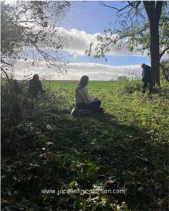 Outdoor group wellbeing session in a grassy field beneath trees